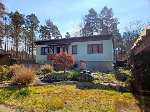 Heideblick / Walddrehna Häuser, Heideblick / Walddrehna Haus kaufen