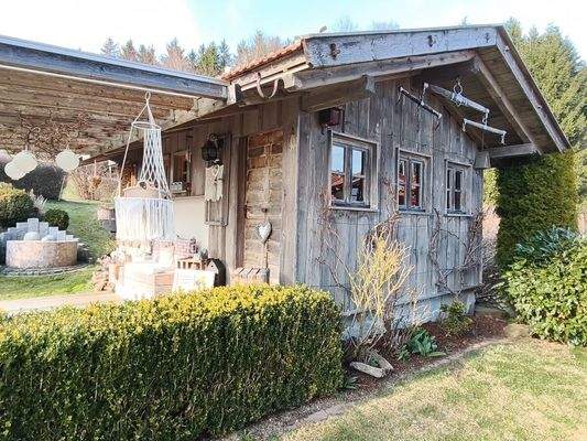 MVIMG_20260324_161904