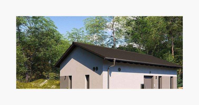 Tiny Single Bungalow 2 - Giebelausschnitt - mit Passepartout