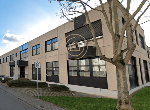 Raunheim Büros, Büroräume, Büroflächen 