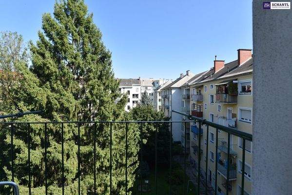 Blick in den Innenhof