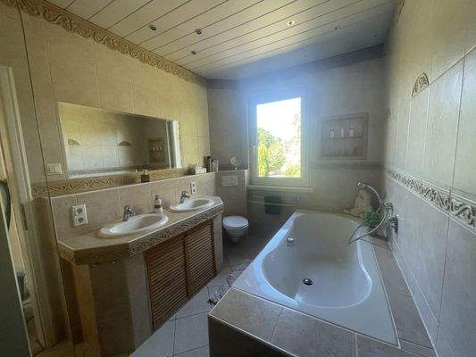 Modernes Tageslicht Vollbad