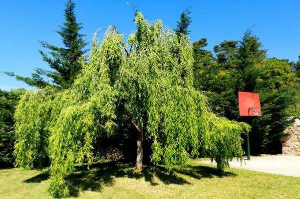 VILLA HALKIDIKI KASSANDRA