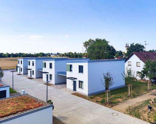 Kettenhäuser in Holzmassivbauweise