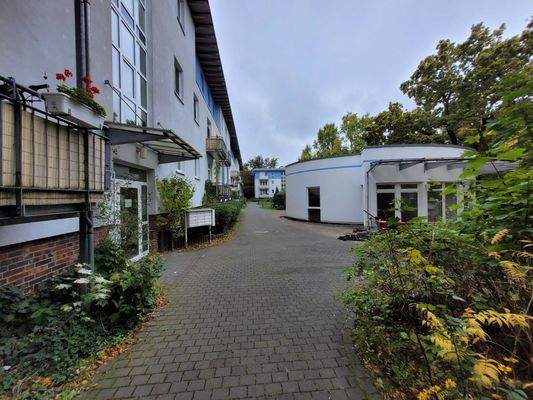 20251007_120400_resized