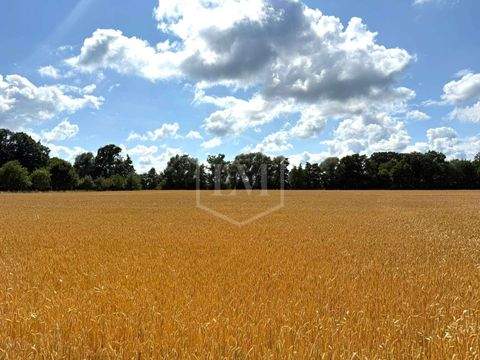 Heek Bauernhöfe, Landwirtschaft, Heek Forstwirtschaft