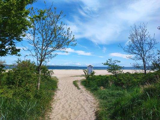 Strand