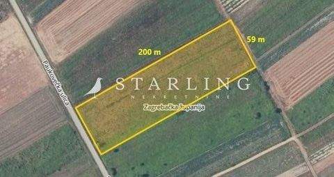 Sveti Ivan Zelina Bauernhöfe, Landwirtschaft, Sveti Ivan Zelina Forstwirtschaft