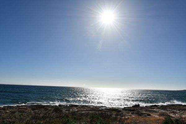 W 10100-S Wohnungen in Sa Rapita _090.JPG