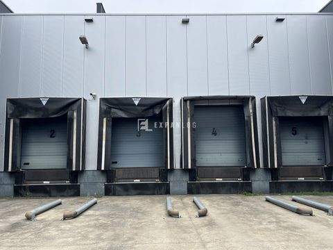 Remscheid Halle, Remscheid Hallenfläche