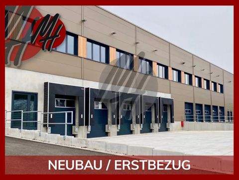 Bielefeld Halle, Bielefeld Hallenfläche