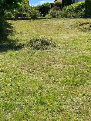 das Umfeld ist bereits begrünt 