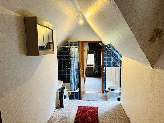 Duschbad mit WC (Durchgangsraum)