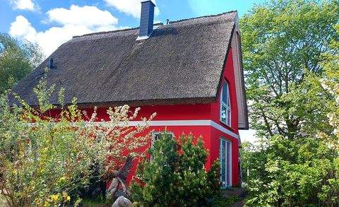 Neuenkirchen Häuser, Neuenkirchen Haus kaufen