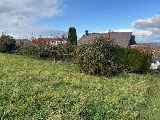 hinterer Teil des Gartens