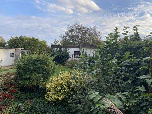 Blick in Garten mit Werkschuppen