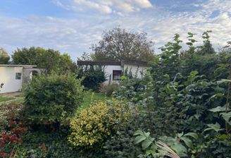 Blick in Garten mit Werkschuppen