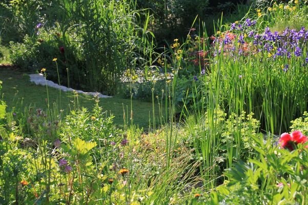 V005-2025_Gartenidylle_1