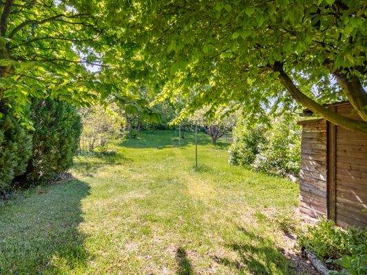 Weitläufiger Garten