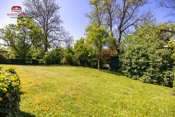 Blick Garten 3
