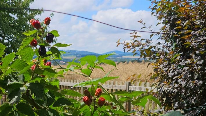 Garten mit Weitblick