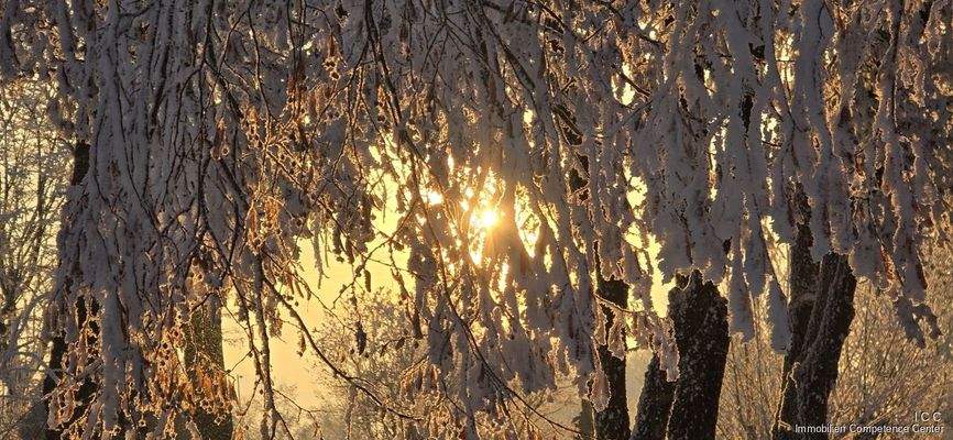 Bad Griesbach im Rottal - ICC - Immobilien Competence Center