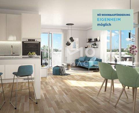 Ober-Grafendorf Wohnungen, Ober-Grafendorf Wohnung kaufen