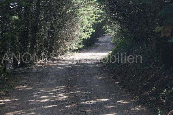 Grundstück Einfahrt