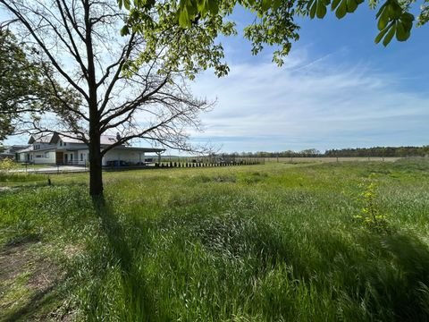 Groß Kreutz (Havel) Grundstücke, Groß Kreutz (Havel) Grundstück kaufen