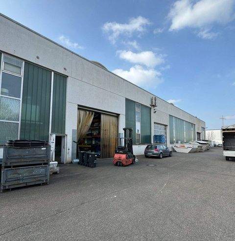 Neckarsulm Halle, Neckarsulm Hallenfläche