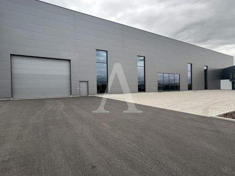 Wesseling Halle, Wesseling Hallenfläche