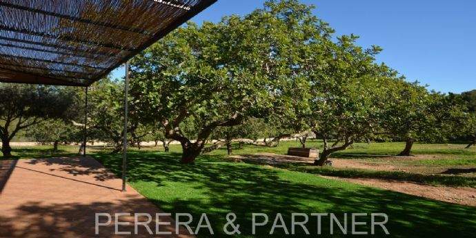 14---Aussenbereich-I