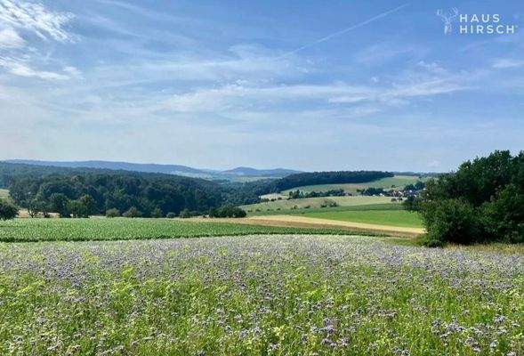 Blick auf den Ziegelberg