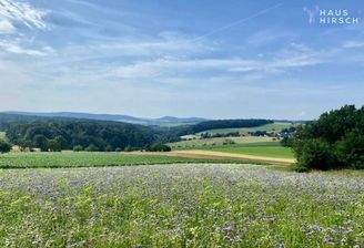 Blick auf den Ziegelberg