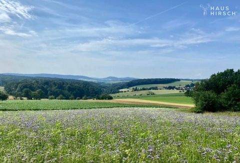 Geiselbach Grundstücke, Geiselbach Grundstück kaufen
