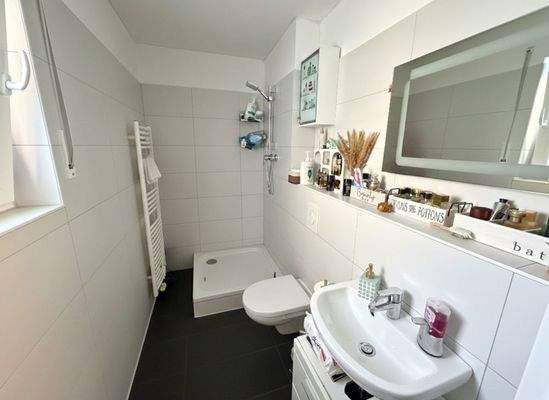 Erdgeschoss Duschbad