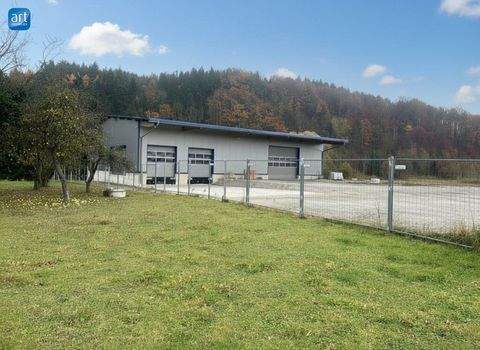 Ort im Innkreis Halle, Ort im Innkreis Hallenfläche