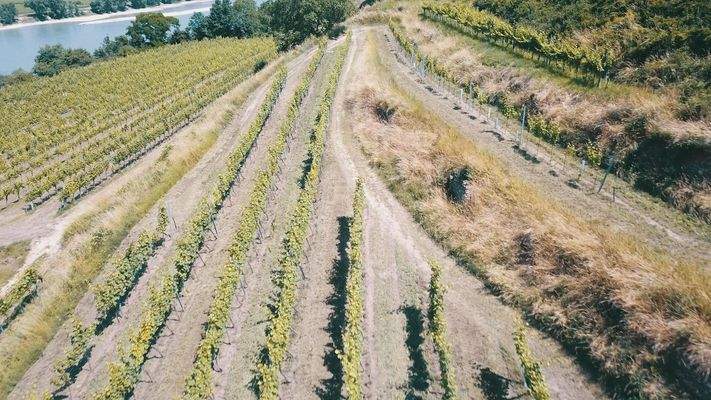 Blick Richtung Osten