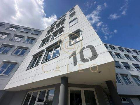 Ginsheim-Gustavsburg Büros, Büroräume, Büroflächen 