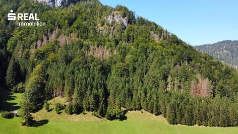 Sankt Gallen Grundstücke, Sankt Gallen Grundstück kaufen