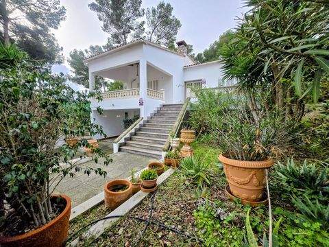 Cala Ratjada Häuser, Cala Ratjada Haus mieten 