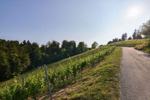 Oberhaag Renditeobjekte, Mehrfamilienhäuser, Geschäftshäuser, Kapitalanlage