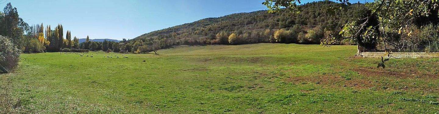 Imagen de WhatsApp 2025-06-20 a las 20.57.47_2d072