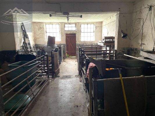 45 Stallansichten II