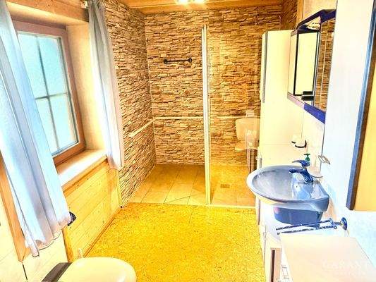 Bad EG Dusche hinten 1/1