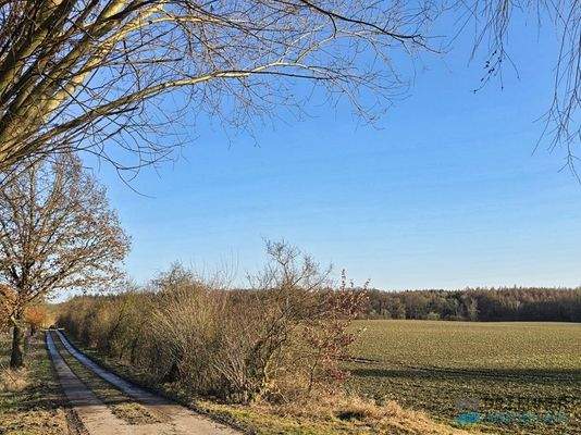 Landweg entlang der Hofstelle