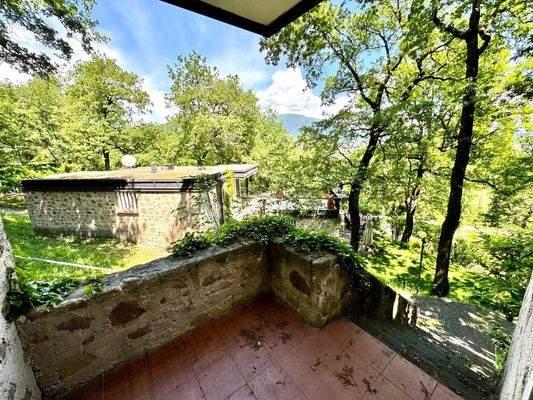 IMG_E8615 (Grande).JPG