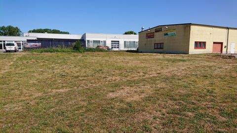 Barth Halle, Barth Hallenfläche