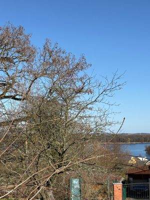 Blick vom Grundstück auf die Havel