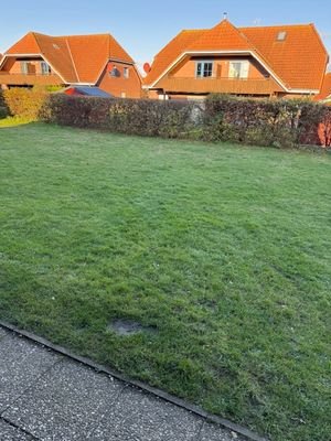 Rasenfläche nach Norden